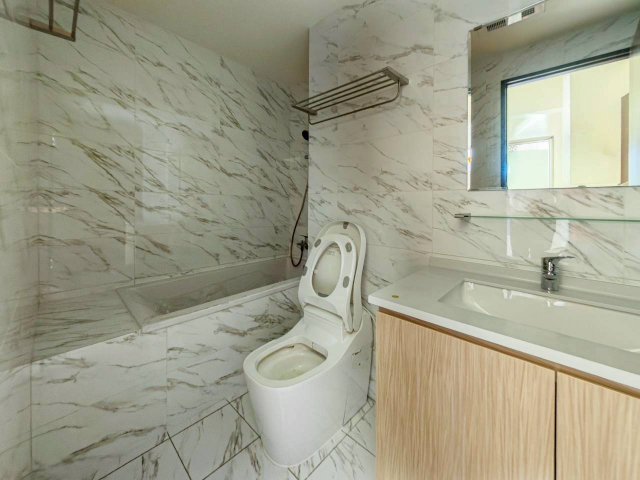 士林一品帝王戶A