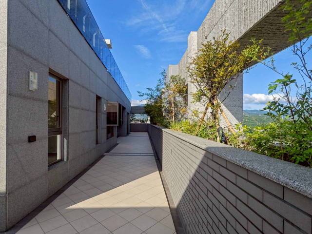 士林一品帝王戶A