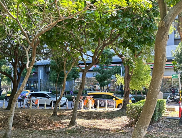 公園旁三房新裝修低總價住家